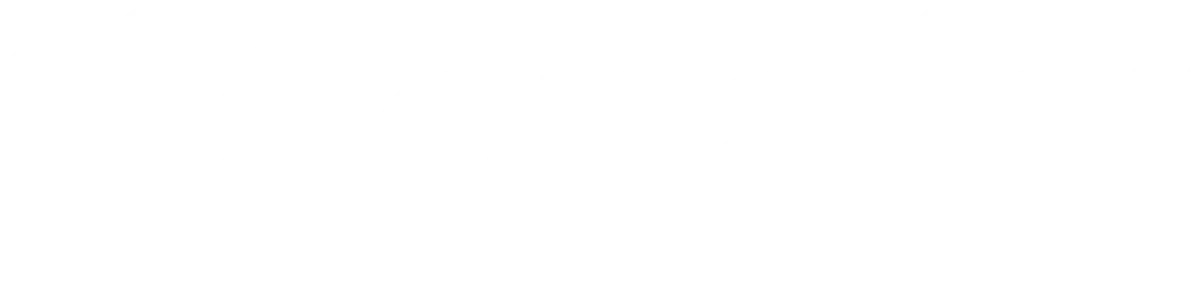 Partner 6