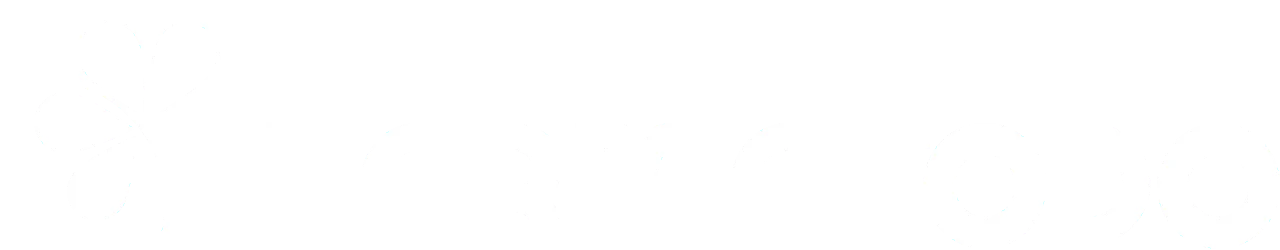 Partner 10